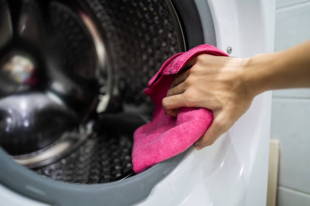 Best Mold Damage Restoration  in Mount Holly, NC