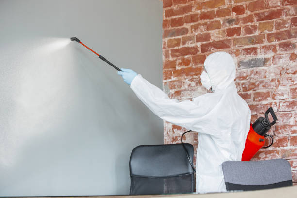 Best Mold Prevention Services  in Mount Holly, NC