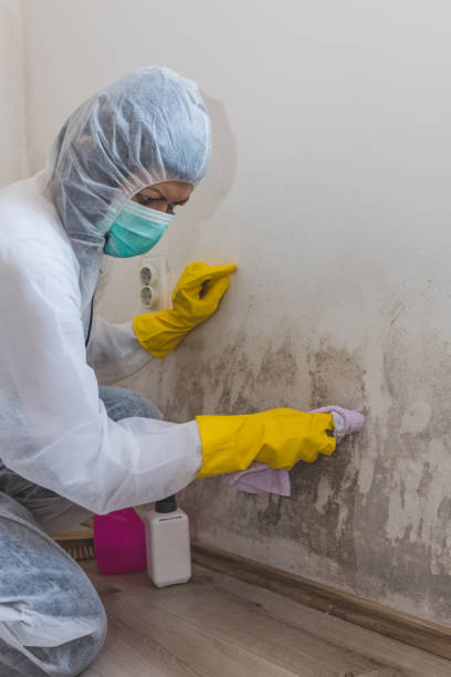Best HVAC Mold Inspection and Cleaning  in Mount Holly, NC