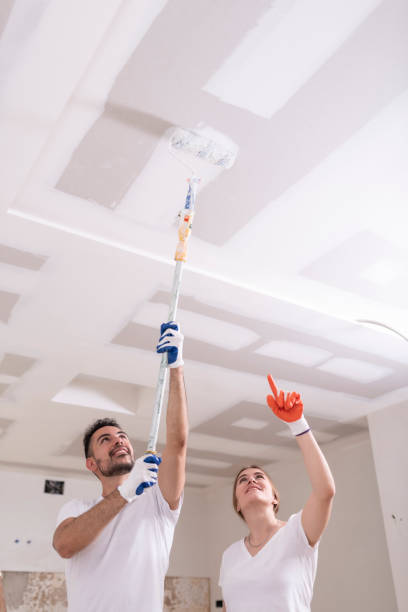 Best Environmental Consulting for Mold Prevention  in Mount Holly, NC