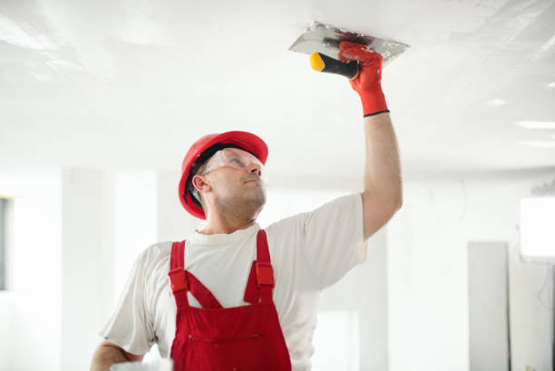 Best Commercial Mold Inspection  in Mount Holly, NC