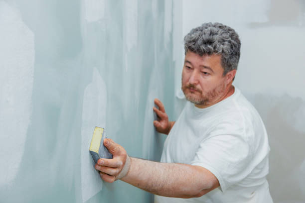 Professional Mold Removal in Mount Holly, NC