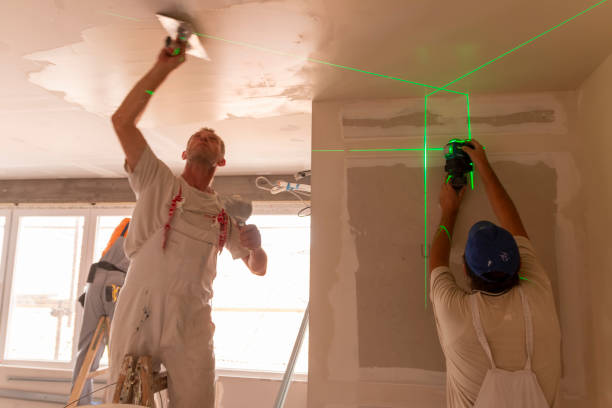 Best Mold Odor Removal Services  in Mount Holly, NC