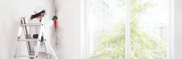 Best Residential Mold Inspection & Testing  in Mount Holly, NC