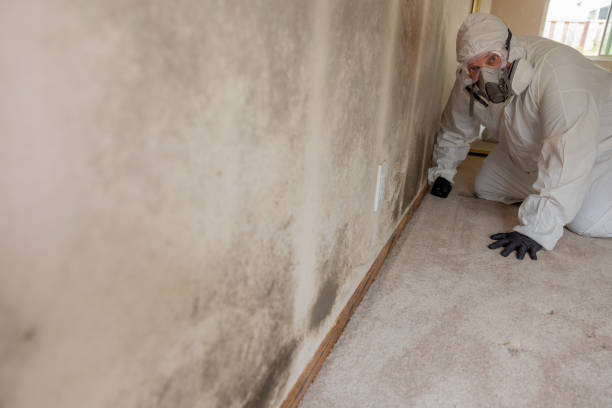 Best Air Quality Testing for Mold Spores  in Mount Holly, NC