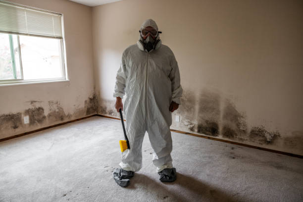 Mold Odor Removal Services in Mount Holly, NC