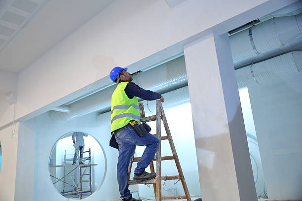 Best Attic Mold Removal  in Mount Holly, NC